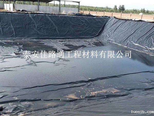 养殖防渗膜铺设不当：隐患重重，影响深远