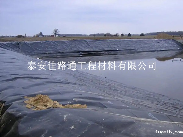 水产养殖防渗膜扛得住冷热？3大关键体现一文讲透