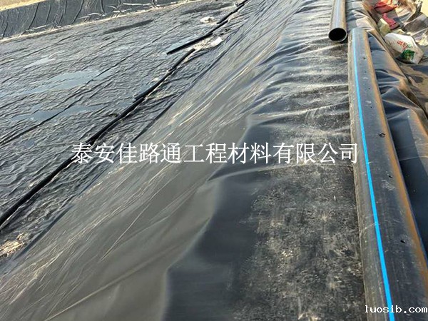 夏季铺养殖防渗膜会“翻车”？掌握这4点施工稳如泰山