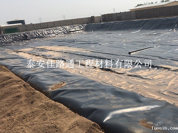 选对鱼塘防渗膜,关键看这3点 选对鱼塘防渗膜,关键看这3点