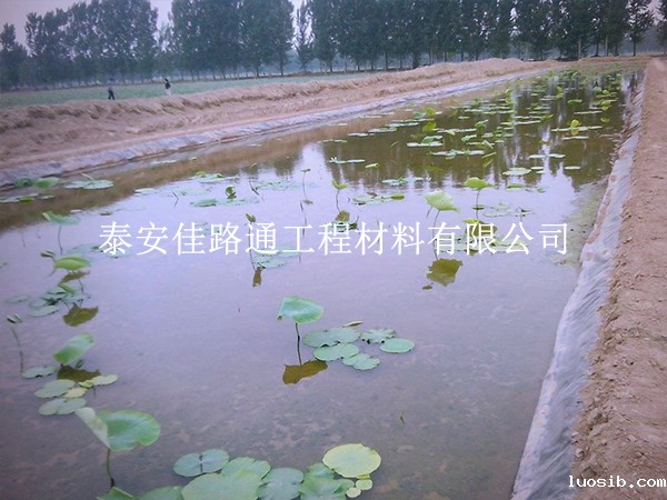 养殖防渗膜施工质量咋检测？这些技巧要掌握