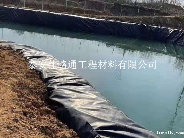 鱼塘防渗膜破了别慌，这样处理保防渗