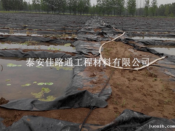 养殖防渗膜养护别大意，这些方法延长寿命