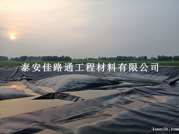 垃圾填埋场防渗膜铺设：施工环境的影响与适配之道