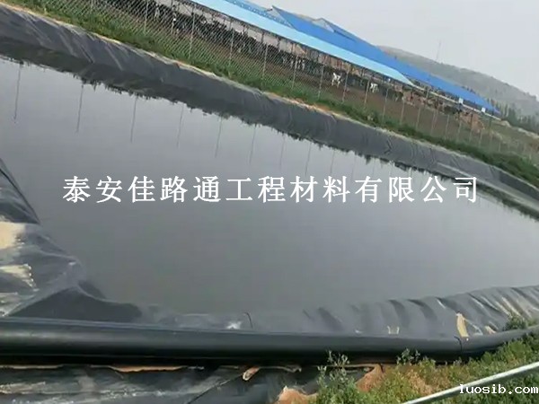 藕池防渗膜铺设完成后，这样保护更长效
